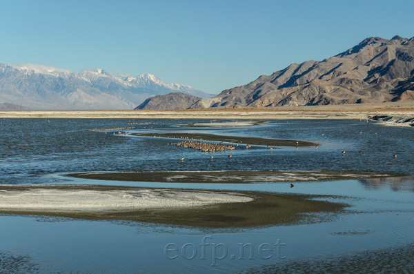 Owens Dry Lake