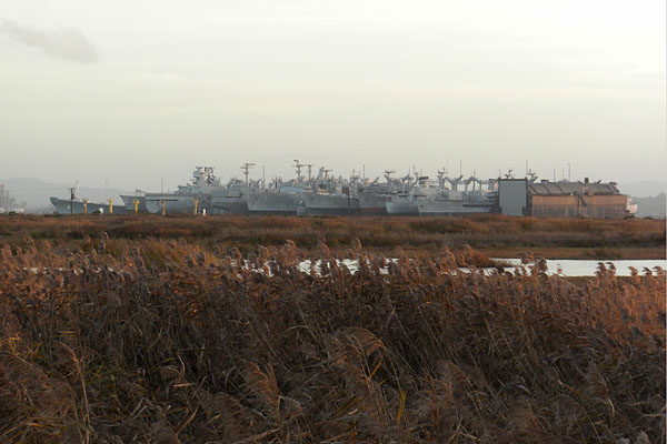 Ship Graveyard Suisun Bay CA