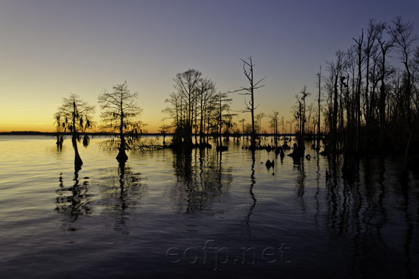  Dock Near Edenton North Carolina