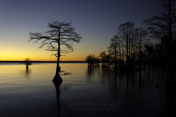  Dock Near Edenton North Carolina