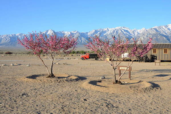 Manzanar War Relocation Center, California