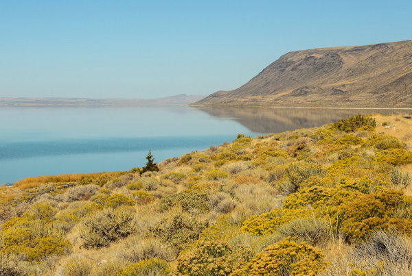 Lake Albert Oregon