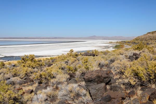 Lake Albert Oregon