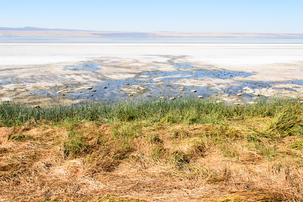 Lake Albert Oregon