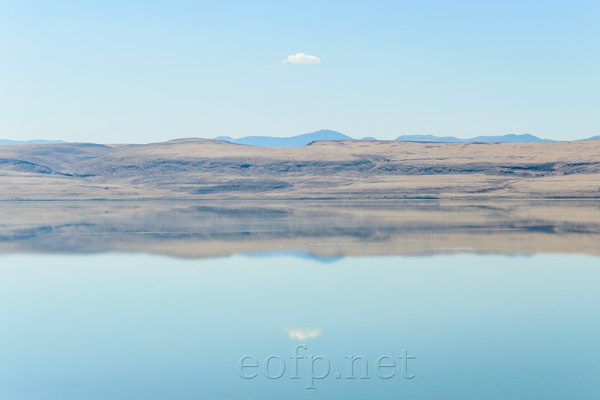 Lake Albert Oregon