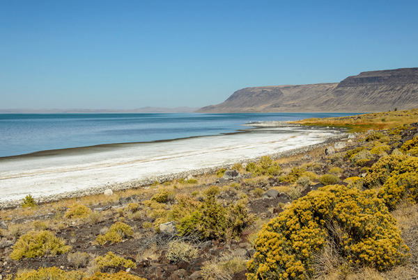 Lake Albert Oregon