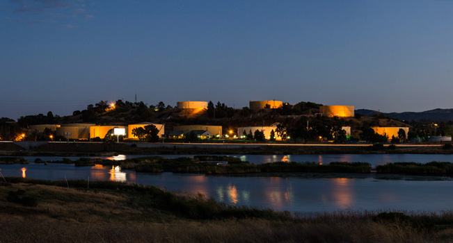 Waterbird Park, Martinez CA