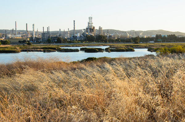 Waterbird Park, Martinez CA