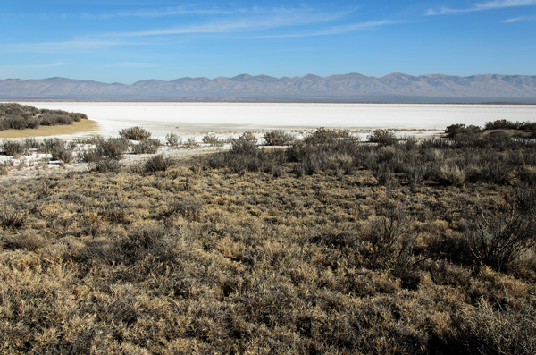 Carrizo Plain National Monument California