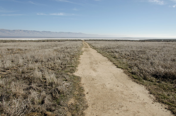 Carrizo Plain National Monument California