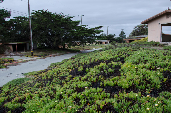 Fort Ord, California