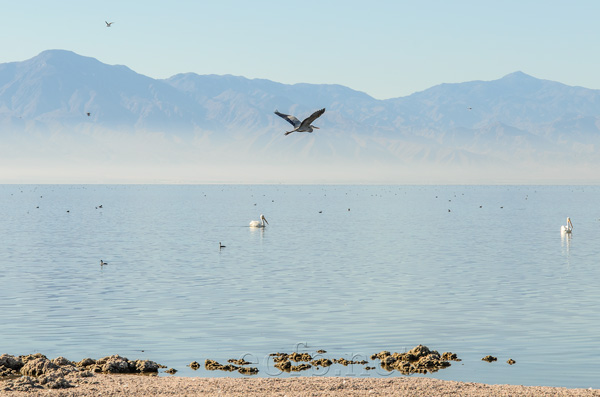 Salton Sea, California