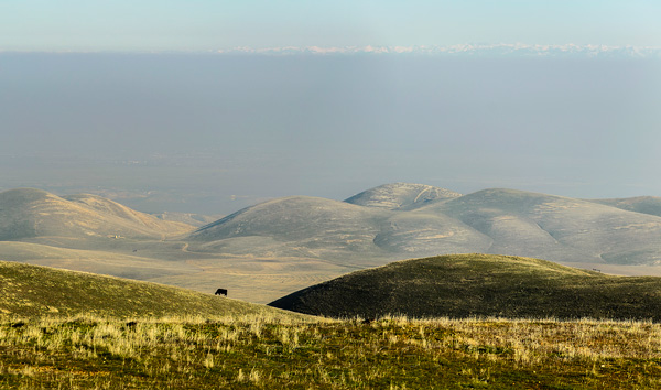 Taft, California